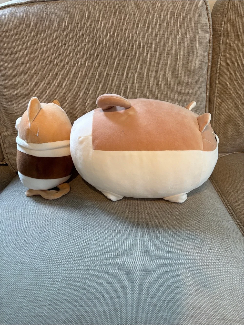 N/A cute tan